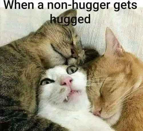 when a non hugger