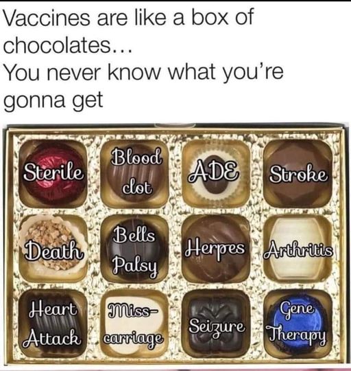 426526487_334248489607596_1760898369053218388_n