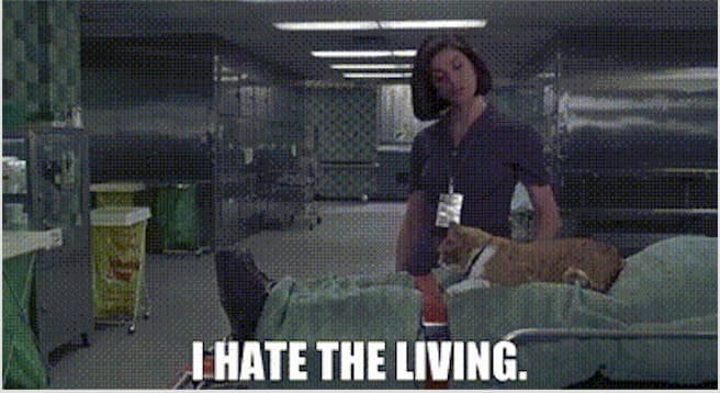 I hate the living