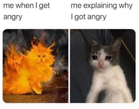 angrycat