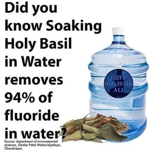 350932800_2001079996896000_2369694852033579983_n