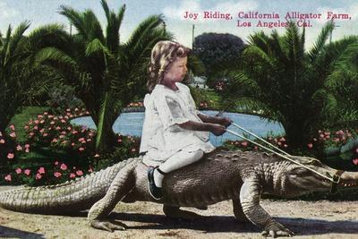 los-angeles-california-girl-riding-alligator-at-the-farm_u-l-q1i1pr00