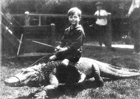 boy-riding-alligator_465_328_int