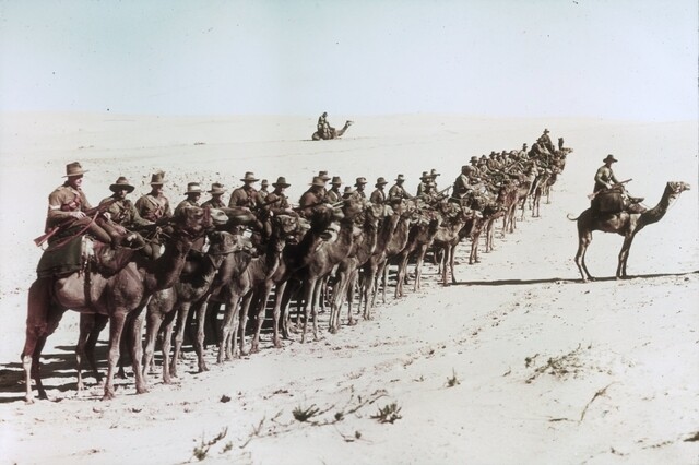 Australians of the Imperial Camel Corps on the sandhills, 1918