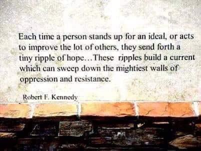 354555793_6226852227370682_3493313617220725005_n