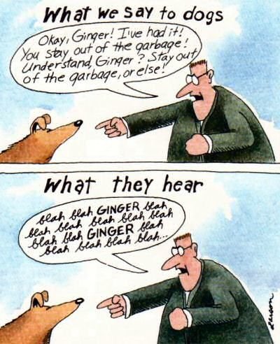 291360707_10158826428633317_4517839160466135979_n